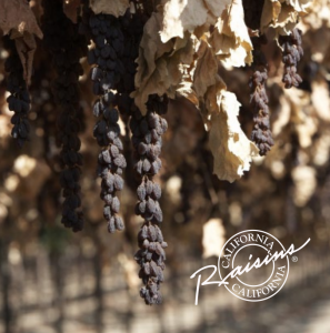 Photograph of drying raisins with dried leaves hanging from the vine. The California circle logo on the bottom right in white. Click to open the Industry Brochure.
